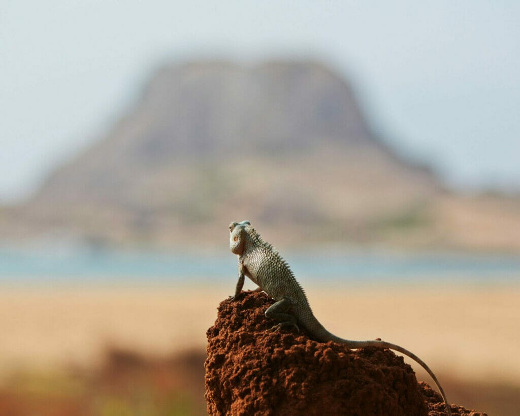 absences au travail, changer notre regard
